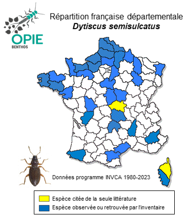 Carte de distribution de Dytiscus semisulcatus O. F. Müller, 1776