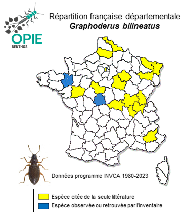 Carte de distribution de Graphoderus bilineatus (De Geer, 1774)
