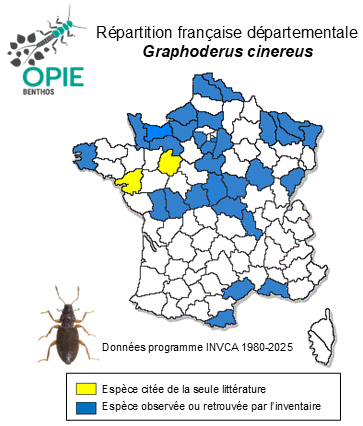 Carte de distribution de Graphoderus cinereus (Linnaeus, 1758)