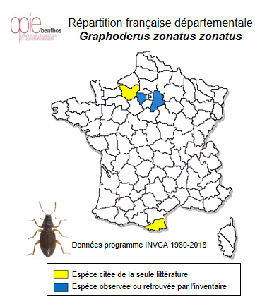 Carte de distribution de Graphoderus zonatus zonatus (Hoppe, 1795)