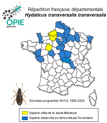 Carte de distribution de Hydaticus transversalis transversalis (Pontoppidan, 1763)
