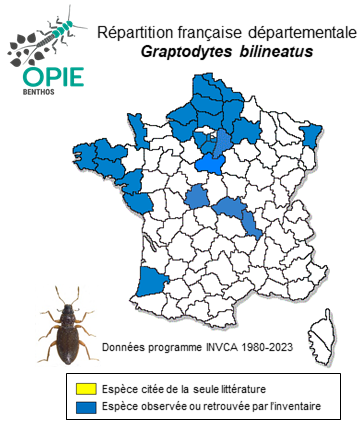 Carte de distribution de Graptodytes bilineatus (Sturm, 1835)