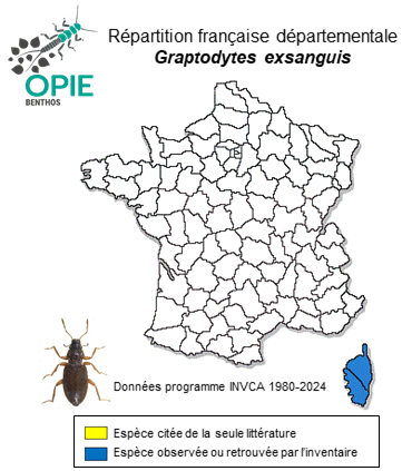 Carte de distribution de Graptodytes exsanguis Bedel, 1925