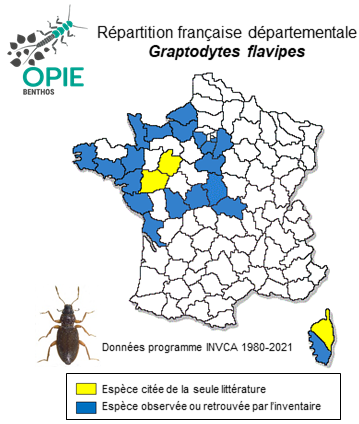 Carte de distribution de Graptodytes flavipes (Olivier, 1795)