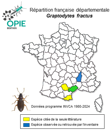 Carte de distribution de Graptodytes fractus (Sharp, 1882)