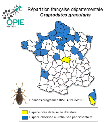 Carte de distribution de Graptodytes granularis (Linné, 1767)