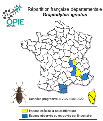Carte de distribution de Graptodytes ignotus (Mulsant & Rey, 1861)