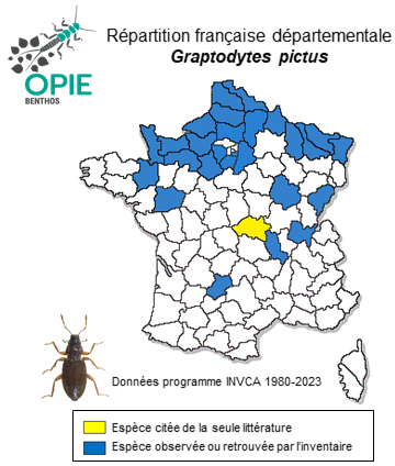 Carte de distribution de Graptodytes pictus (Fabricius, 1787)