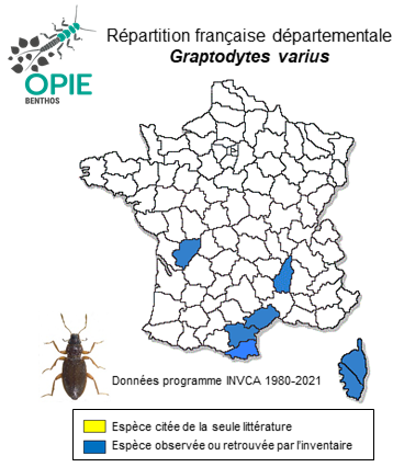 Carte de distribution de Graptodytes varius (Aubé, 1838)