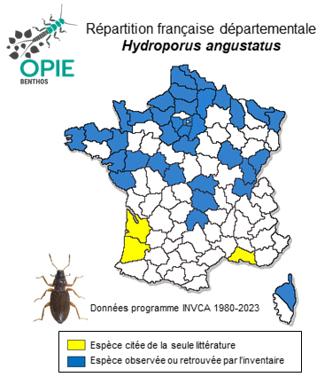 Carte de distribution de Hydroporus angustatus Sturm, 1835