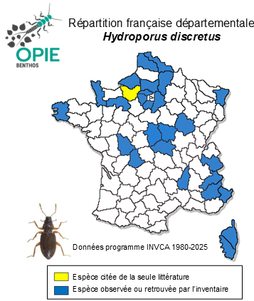 Carte de distribution de Hydroporus discretus Fairmaire & Ch. Brisout, 1859