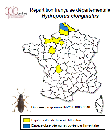 Carte de distribution de Hydroporus elongatulus Sturm, 1835