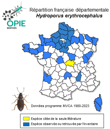 Carte de distribution de Hydroporus erythrocephalus (Linnaeus, 1758)