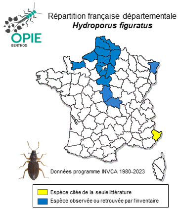 Carte de distribution de Hydroporus figuratus (Gyllenhal, 1826)