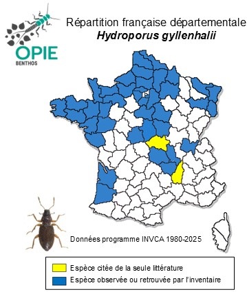 Carte de distribution de Hydroporus gyllenhalii Schiödte, 1841