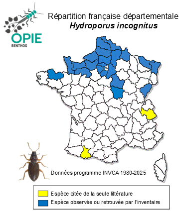 Carte de distribution de Hydroporus incognitus Sharp, 1869