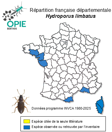 Carte de distribution de Hydroporus limbatus Aubé, 1838