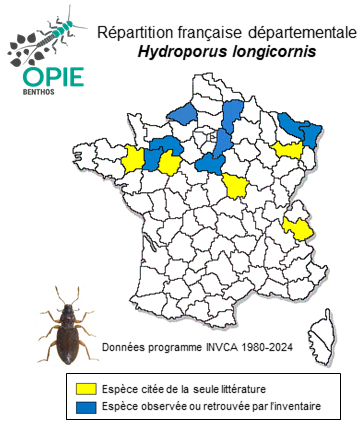 Carte de distribution de Hydroporus longicornis Sharp, 1871