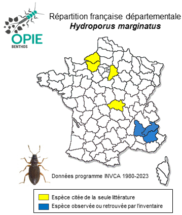 Carte de distribution de Hydroporus marginatus (Duftschmidt, 1805)