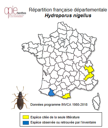 Carte de distribution de Hydroporus nigellus Mannerheim, 1853