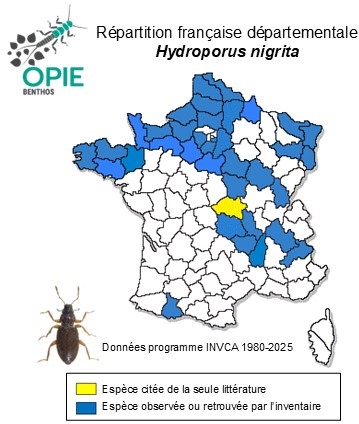 Carte de distribution de Hydroporus nigrita (Fabricius, 1792)