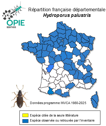Carte de distribution de Hydroporus palustris (Linnaeus, 1761)