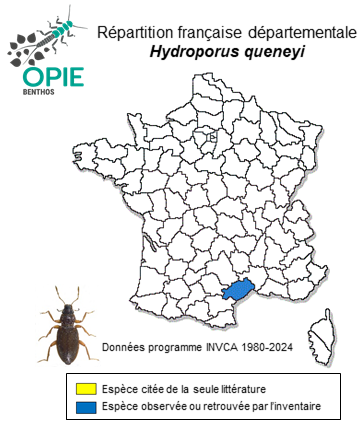 Carte de distribution de Hydroporus queneyi Manuel & Ferreira, 2024
