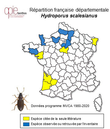 Carte de distribution de Hydroporus scalesianus Stephens, 1828