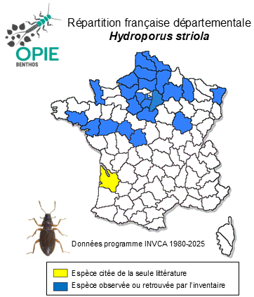 Carte de distribution de Hydroporus striola (Gyllenhal, 1826)