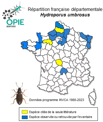 Carte de distribution de Hydroporus umbrosus (Gyllenhal, 1808)
