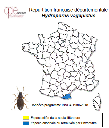 Carte de distribution de Hydroporus vagepictus Fairmaire & Laboulbène, 1854