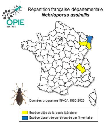 Carte de distribution de Nebrioporus assimilis (Paykull, 1798)