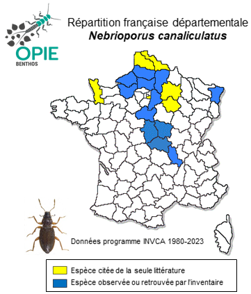 Carte de distribution de Nebrioporus canaliculatus (Lacordaire, 1835)