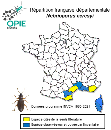 Carte de distribution de Nebrioporus ceresyi (Aubé, 1838)