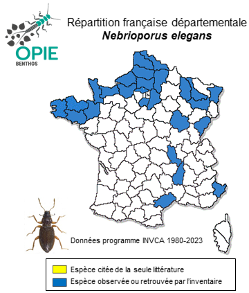 Carte de distribution de Nebrioporus elegans (Panzer, 1794)