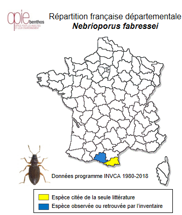 Carte de distribution de Nebrioporus fabressei (Régimbart, 1901)