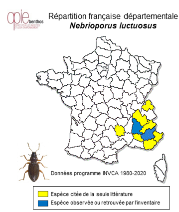 Carte de distribution de Nebrioporus luctuosus (Aubé, 1838)