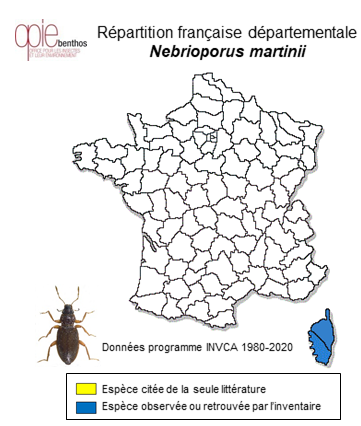 Carte de distribution de Nebrioporus martinii (Fairmaire, 1858)