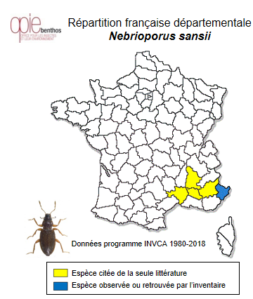 Carte de distribution de Nebrioporus sansii (Aubé, 1838)