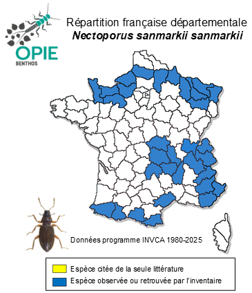 Carte de distribution de Nectoporus san. sanmarkii (C. R. Sahlberg, 1826)