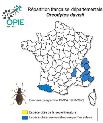 Carte de distribution de Oreodytes davisii (Curtis, 1831)
