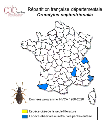 Carte de distribution de Oreodytes septentrionalis (Gyllenhal, 1826)