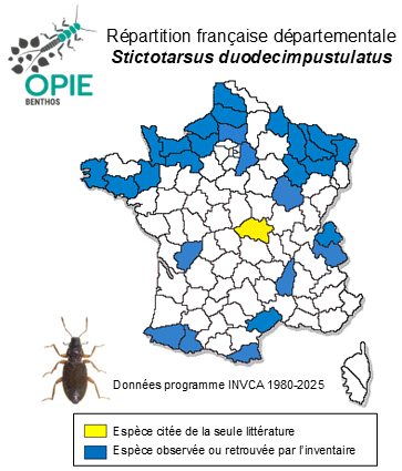 Carte de distribution de Stictotarsus duodecimpustulatus (Fabricius, 1792)