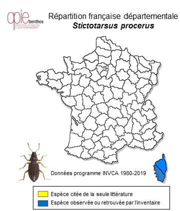 Carte de distribution de Stictotarsus procerus (Aubé, 1838)