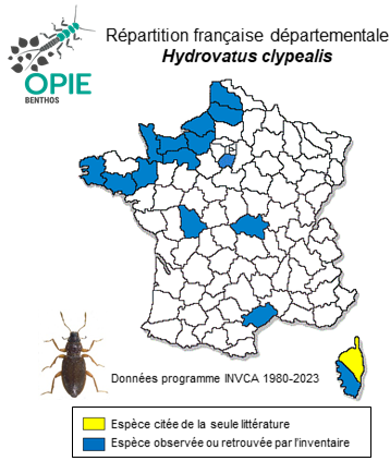 Carte de distribution de Hydrovatus clypealis Sharp, 1876