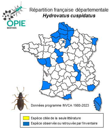 Carte de distribution de Hydrovatus cuspidatus Kunze, 1818