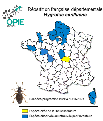 Carte de distribution de Hygrotus confluens (Fabricius, 1787)