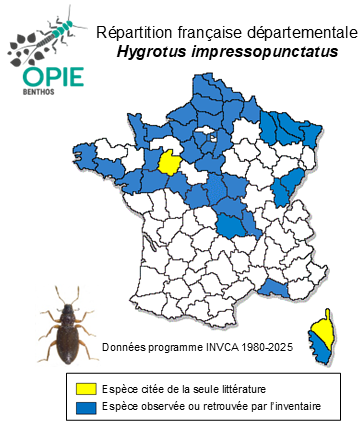 Carte de distribution de Hygrotus impressopunctatus (Schaller, 1783)