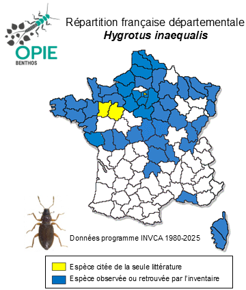Carte de distribution de Hygrotus inaequalis (Fabricius, 1776)