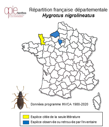 Carte de distribution de Hygrotus nigrolineatus (Steven, 1808)